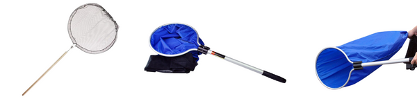 Pond Maintenance & Fish Handling